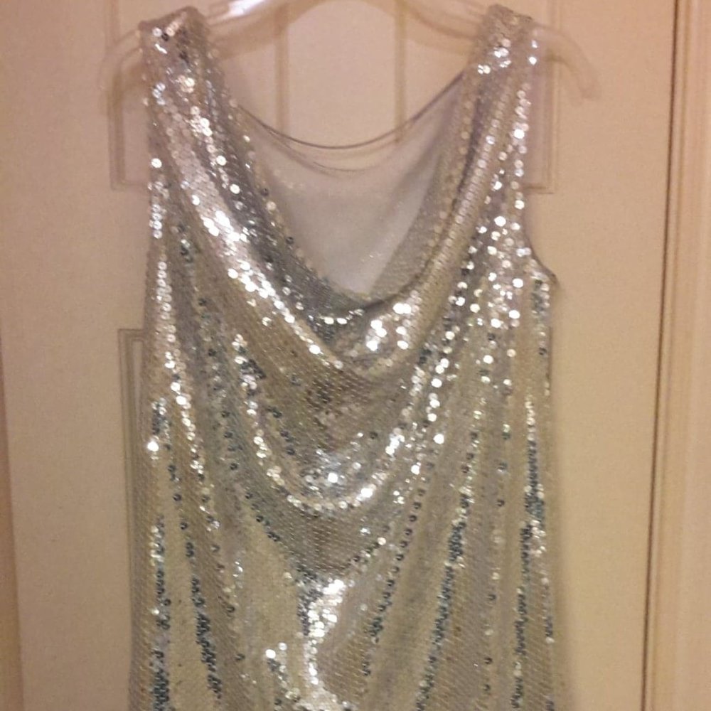 High Shine Silver Sequin Dress 10